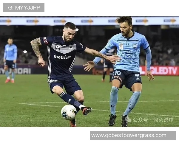 墨尔本城对阵阿德莱德联全程直播精彩回顾与分析 墨尔本城对阵阿德莱德联全程直播精彩回顾与分析