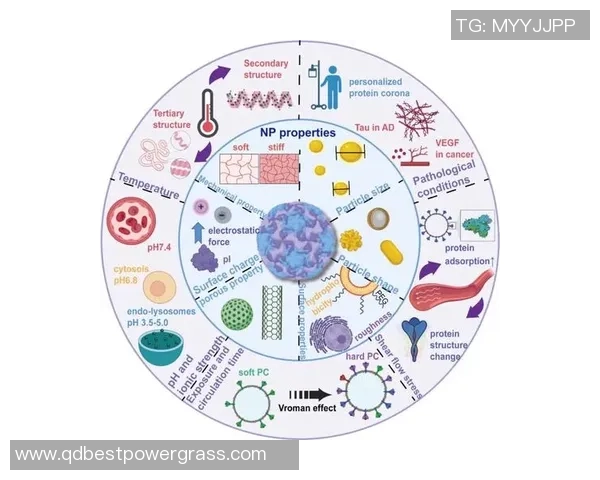 格勒诺布与斯特拉斯比赛延迟原因分析及影响探讨 格勒诺布与斯特拉斯比赛延迟原因分析及影响探讨