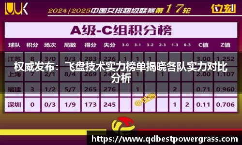 权威发布：飞盘技术实力榜单揭晓各队实力对比分析