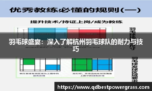羽毛球盛宴：深入了解杭州羽毛球队的耐力与技巧