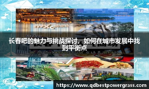 长春吧的魅力与挑战探讨，如何在城市发展中找到平衡点