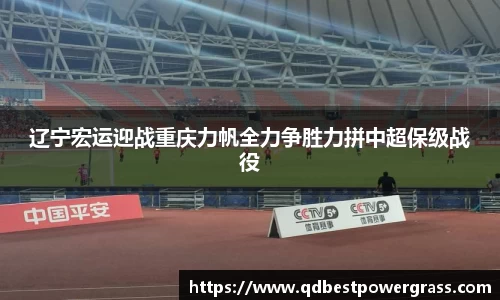 辽宁宏运迎战重庆力帆全力争胜力拼中超保级战役