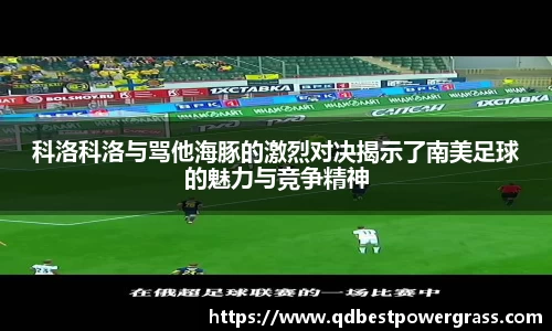 科洛科洛与骂他海豚的激烈对决揭示了南美足球的魅力与竞争精神