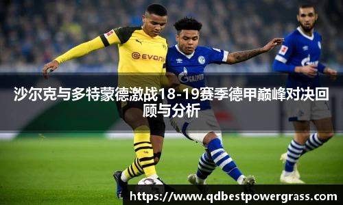 沙尔克与多特蒙德激战18-19赛季德甲巅峰对决回顾与分析